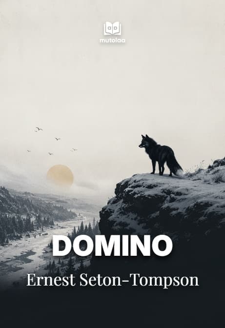 Muqova: Domino