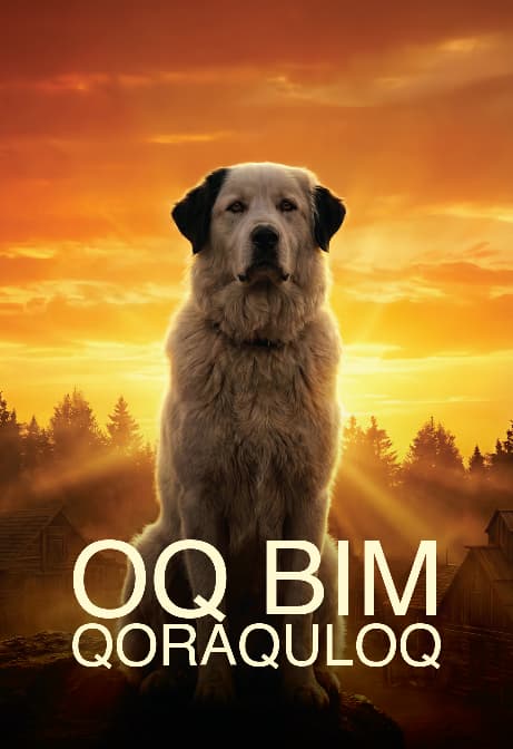 Muqova: Oq Bim Qora quloq